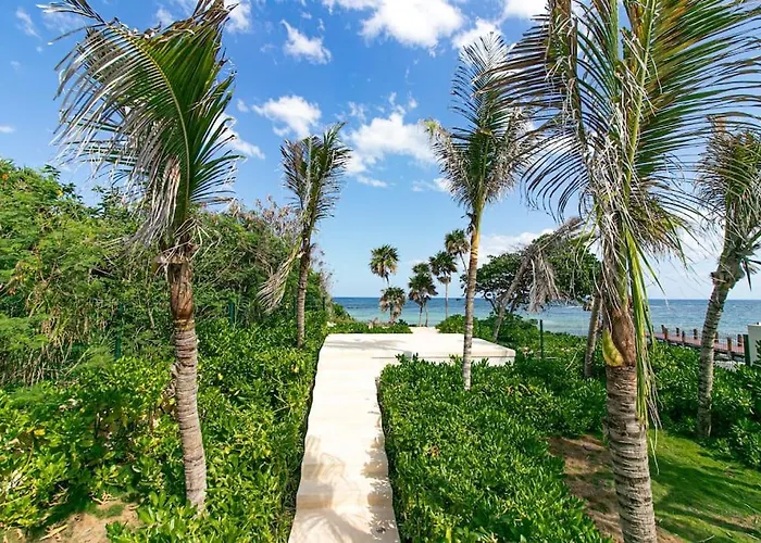Nido De Tortuga With Access And Private Jacuzzi Apartment