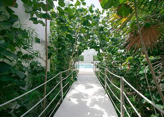 Nido De Tortuga With Access And Private Jacuzzi Apartment